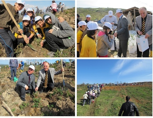 Emirli Köyü’ne yeni orman