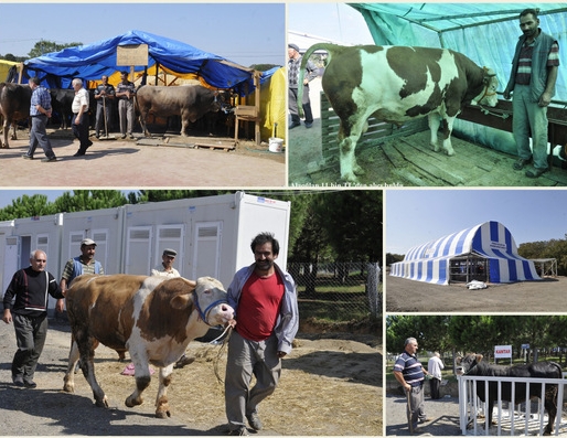 Alaoğlan 11 bin lira kazandırdı