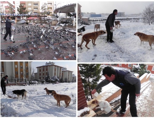 Küçük dostlar aç kalmadı