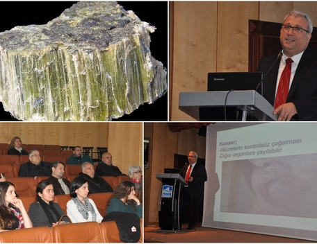 Kansere karşı bol bol yürüyün