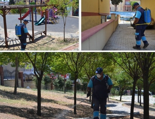 Böcek avcıları ile güvenli yaz