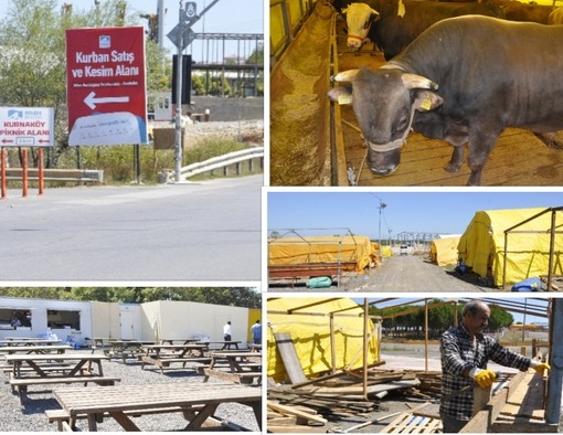 Kurbanlıklar 9 Eylül'de giriş yapacak