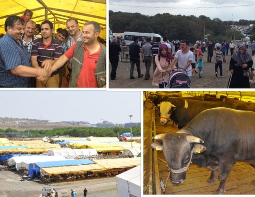 Kurbanlık alanına ücretsiz servis