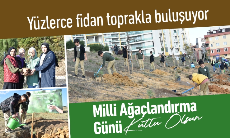 Yüzlerce fidan toprakla buluşuyor