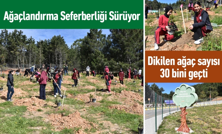 Ağaçlandırma Seferberliği Sürüyor
