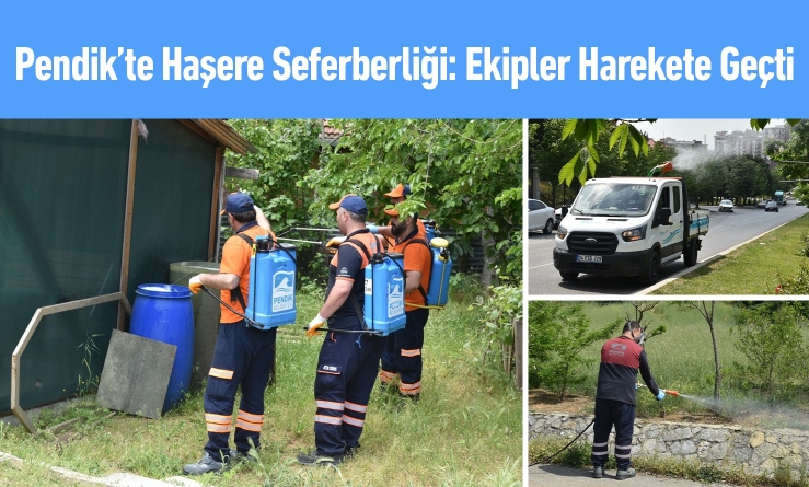 Pendik’te Haşere Seferberliği: Ekipler Harekete Geçti