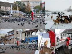 Sokak hayvanları aç kalmayacak